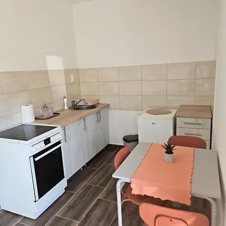 Knezevic Banja Vrujci Apartment *